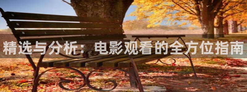新视觉2025
