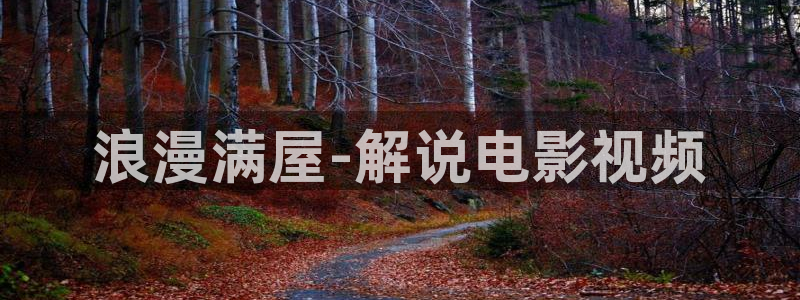 新视觉yy6080高清电视剧免费观看