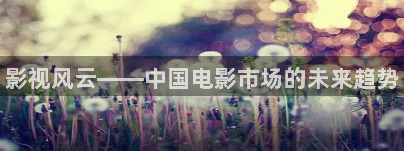 新视觉6080电影免费观看高清