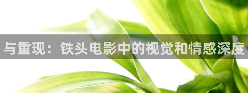 y y 6080新视觉