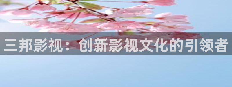 新视觉摄影
