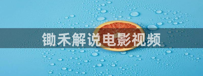 6080新视觉影视热播网剧大全