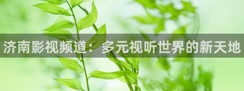 6080新视觉电影理论电视剧