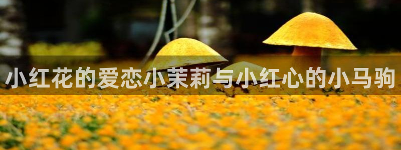 新视觉电影6080
