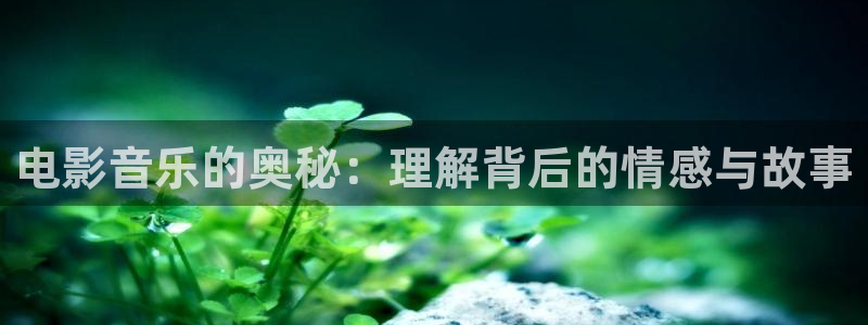 新视觉特