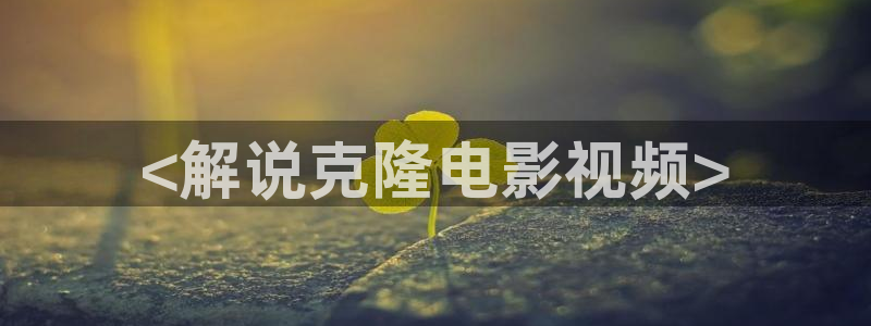 y6080新视觉电影免费播放