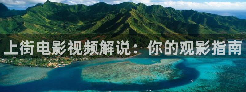 爱新视觉
