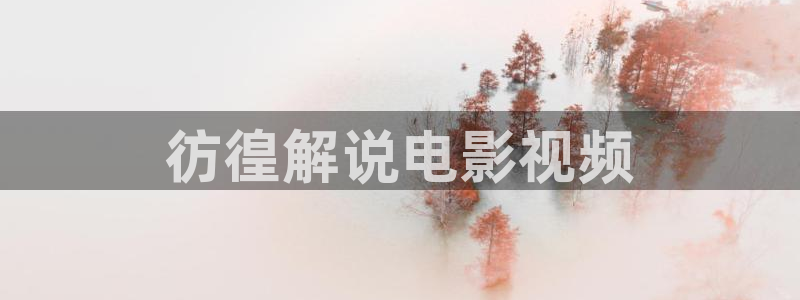 新视觉2025