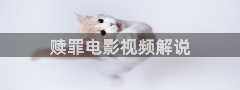 新视觉影院在线观看完整版