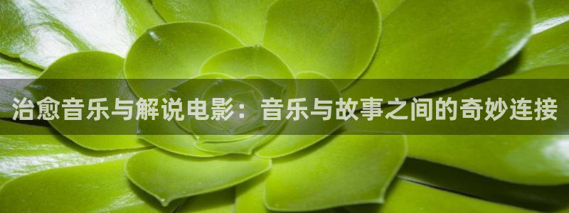 6090新视觉理论电视剧4480