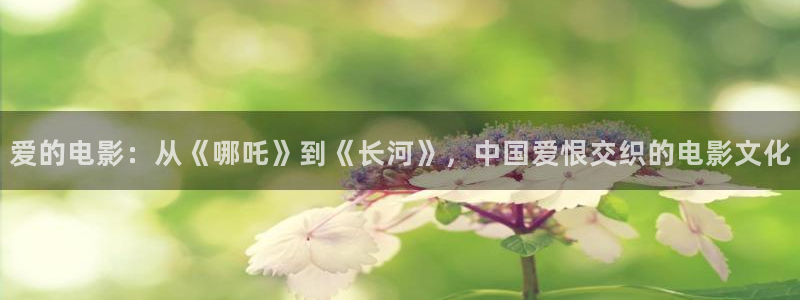 新视觉6080高清电视剧在线