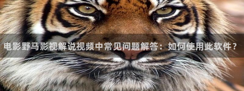 新视觉影院速