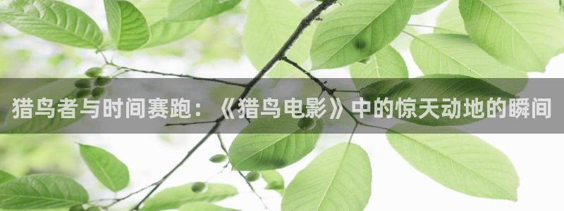 新视觉 网