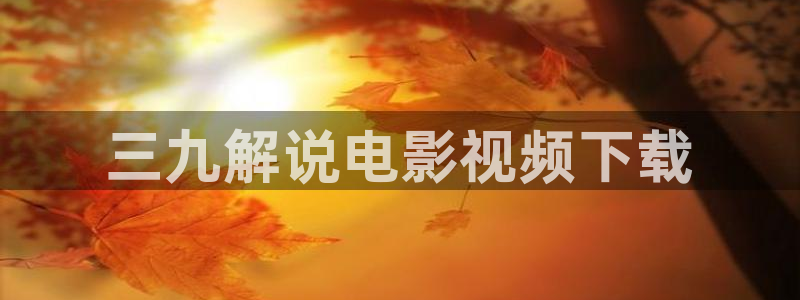 新视觉奇领yy6080