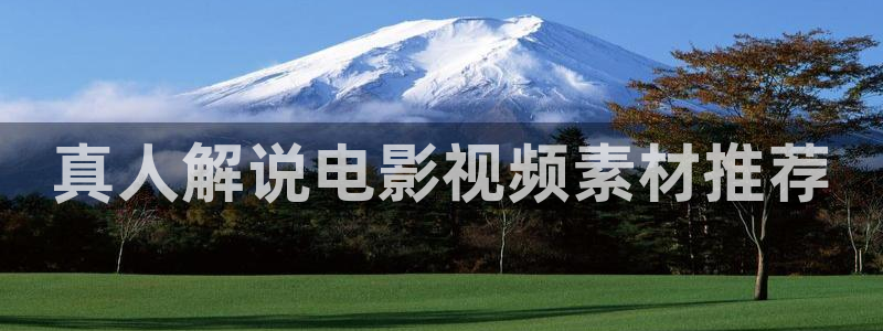 新视觉特