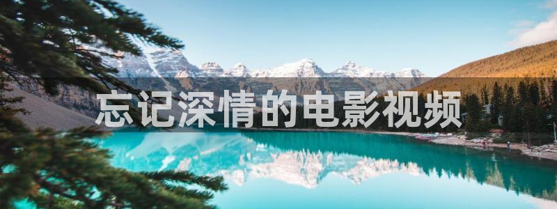 新视觉 4080