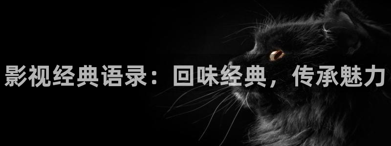 yy4408新视觉电视剧免费