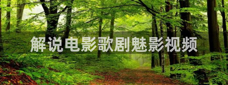 新视觉电视影院手机版