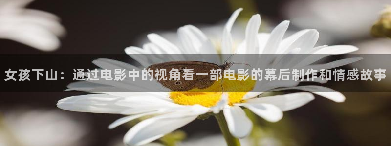 新视觉影院.野花电影网